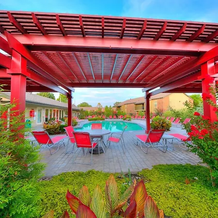 Ou Sooner, Pool & Gym, Bbq, Netflix, 100Mb Internet, Lg Washer & Dryer, Close To Ou! Norman Extérieur photo